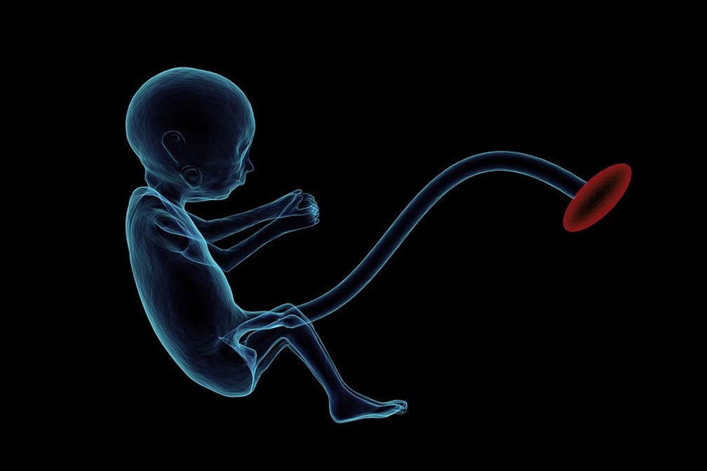 〖深圳同性恋怎么试管代怀生孩子〗深圳同性恋试管生子指南