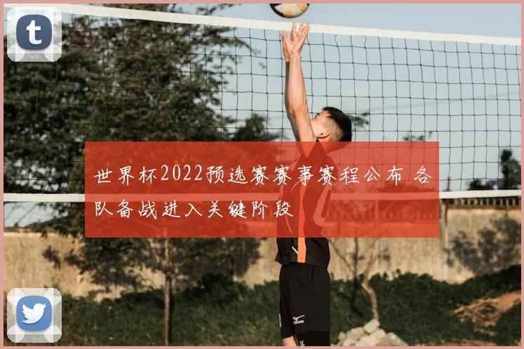 世界杯2022预选赛赛事赛程公布 各队备战进入关键阶段