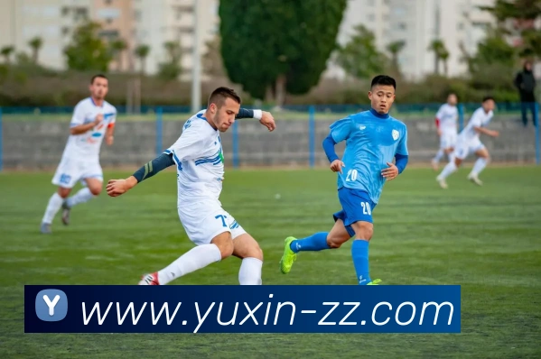 世界杯平台官网登录发展历程